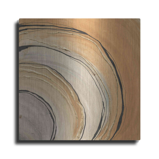 Luxe Metal Art 'Gilded Rings' by Chris Paschke, Metal Wall Art
