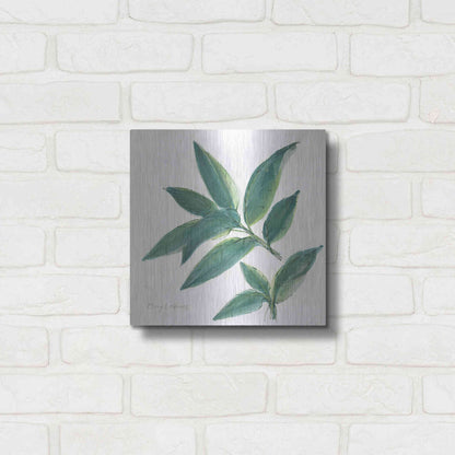 Luxe Metal Art 'Bay Leaf' by Chris Paschke, Metal Wall Art,12x12