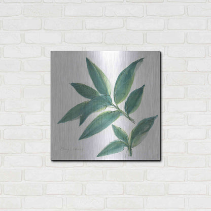 Luxe Metal Art 'Bay Leaf' by Chris Paschke, Metal Wall Art,24x24