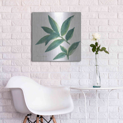 Luxe Metal Art 'Bay Leaf' by Chris Paschke, Metal Wall Art,24x24