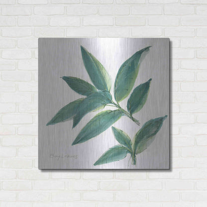 Luxe Metal Art 'Bay Leaf' by Chris Paschke, Metal Wall Art,36x36