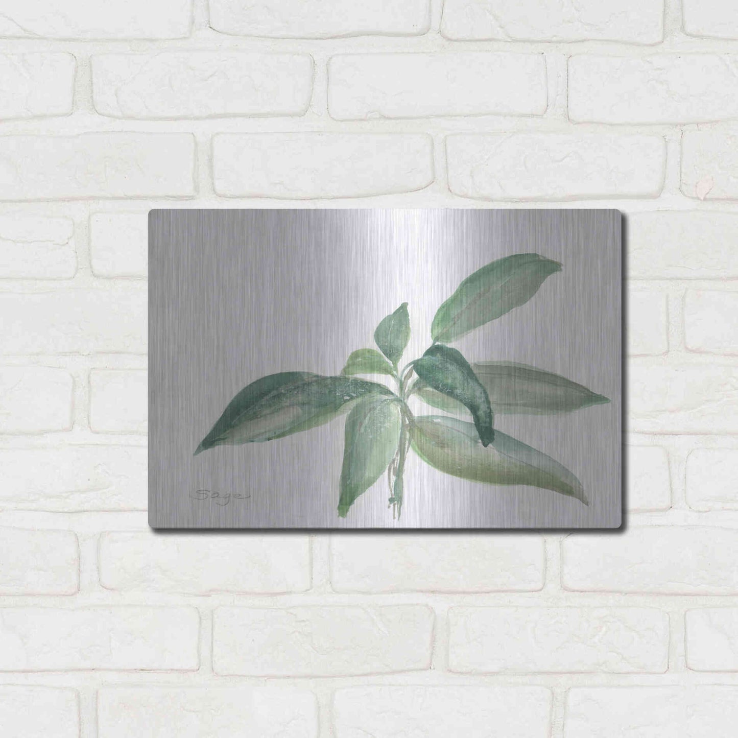 Luxe Metal Art 'Sage I' by Chris Paschke, Metal Wall Art,16x12