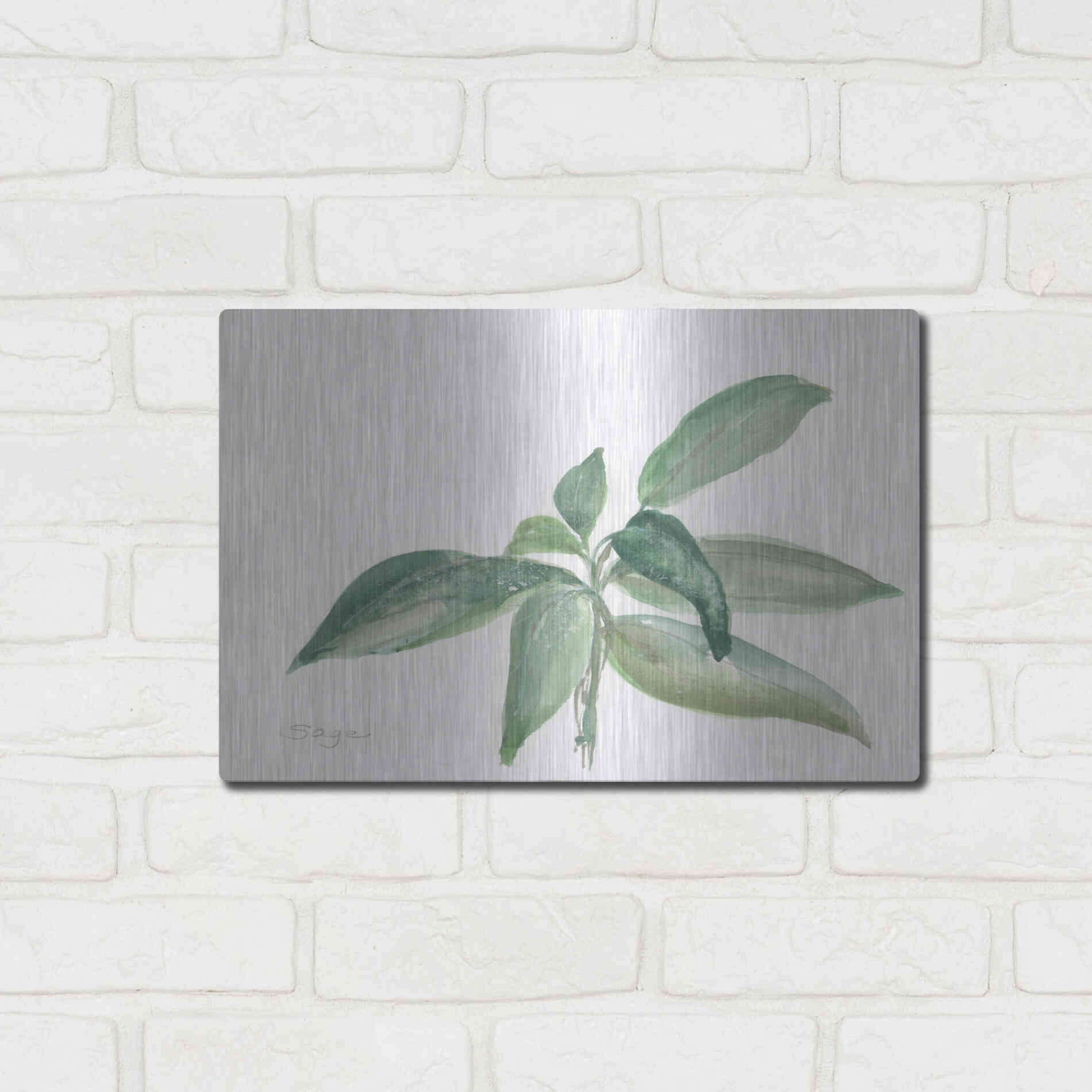 Luxe Metal Art 'Sage I' by Chris Paschke, Metal Wall Art,16x12