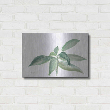 Luxe Metal Art 'Sage I' by Chris Paschke, Metal Wall Art,24x16