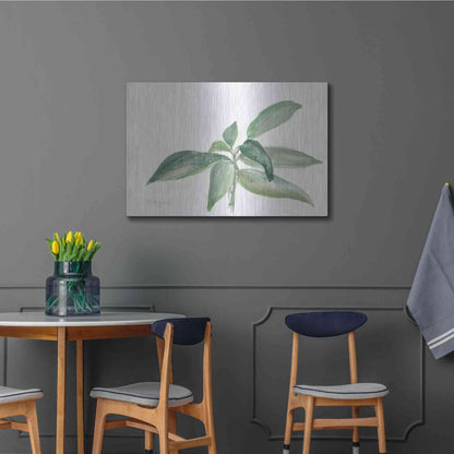 Luxe Metal Art 'Sage I' by Chris Paschke, Metal Wall Art,36x24