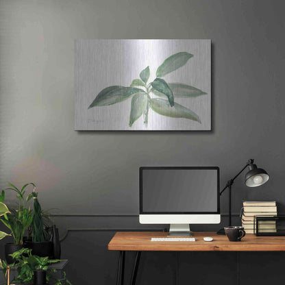 Luxe Metal Art 'Sage I' by Chris Paschke, Metal Wall Art,36x24