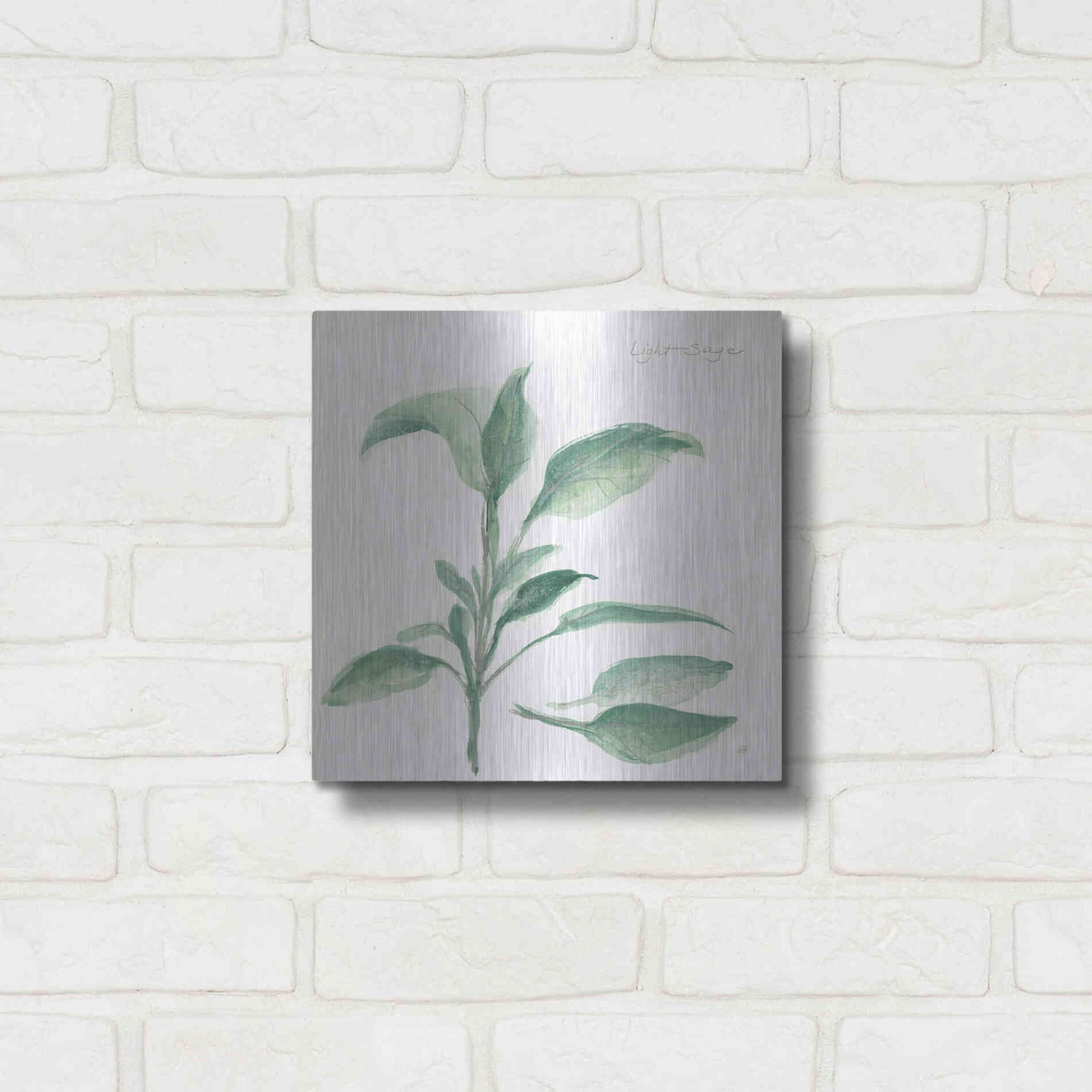 Luxe Metal Art 'Sage II' by Chris Paschke, Metal Wall Art,12x12