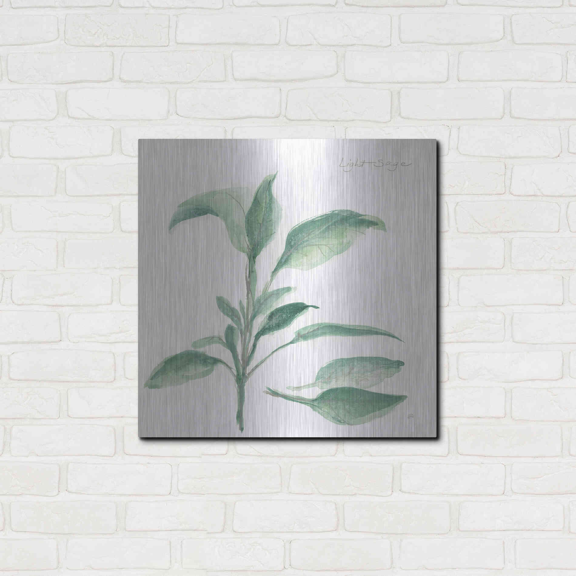 Luxe Metal Art 'Sage II' by Chris Paschke, Metal Wall Art,24x24