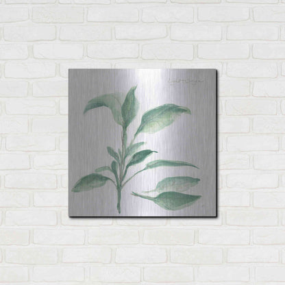 Luxe Metal Art 'Sage II' by Chris Paschke, Metal Wall Art,24x24