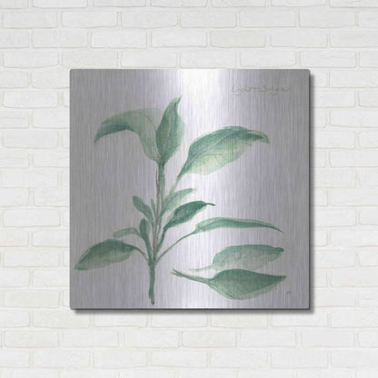 Luxe Metal Art 'Sage II' by Chris Paschke, Metal Wall Art,36x36