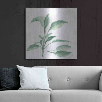 Luxe Metal Art 'Sage II' by Chris Paschke, Metal Wall Art,36x36