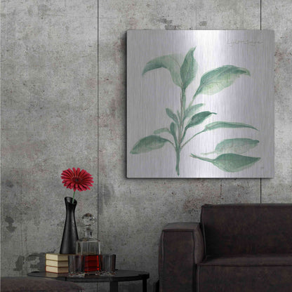 Luxe Metal Art 'Sage II' by Chris Paschke, Metal Wall Art,36x36