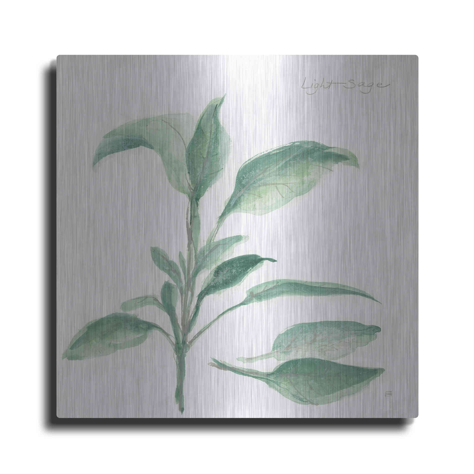 Luxe Metal Art 'Sage II' by Chris Paschke, Metal Wall Art