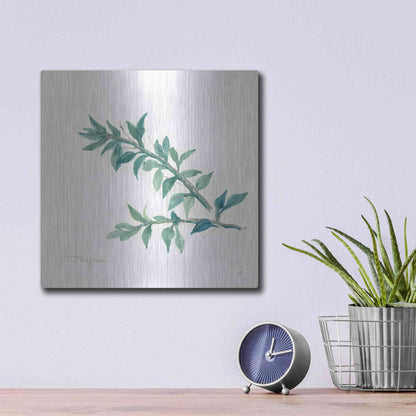 Luxe Metal Art 'Thyme' by Chris Paschke, Metal Wall Art,12x12