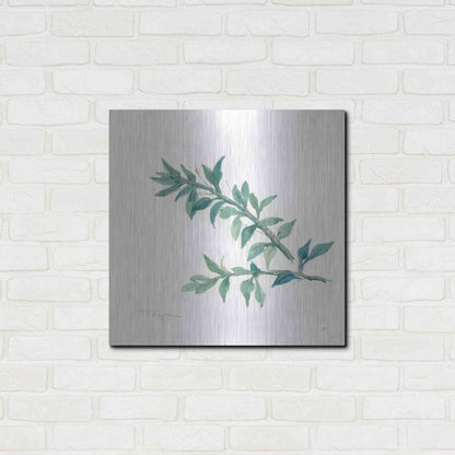 Luxe Metal Art 'Thyme' by Chris Paschke, Metal Wall Art,24x24