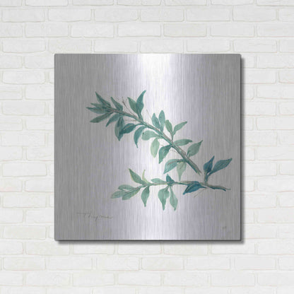 Luxe Metal Art 'Thyme' by Chris Paschke, Metal Wall Art,36x36