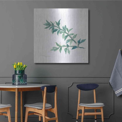 Luxe Metal Art 'Thyme' by Chris Paschke, Metal Wall Art,36x36