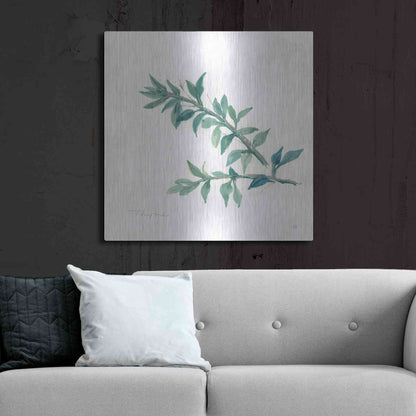 Luxe Metal Art 'Thyme' by Chris Paschke, Metal Wall Art,36x36