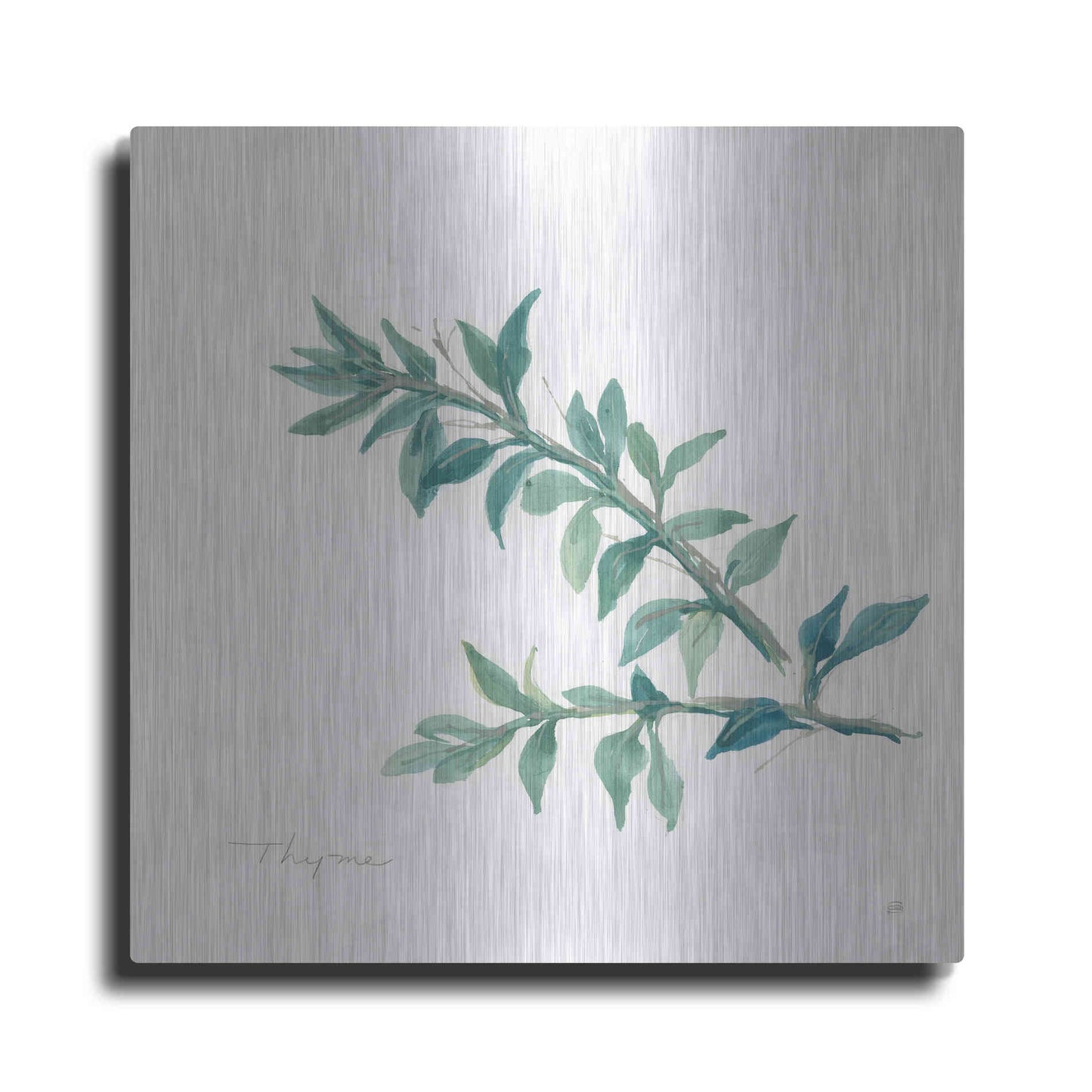 Luxe Metal Art 'Thyme' by Chris Paschke, Metal Wall Art