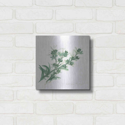 Luxe Metal Art 'Lemon Thyme' by Chris Paschke, Metal Wall Art,12x12