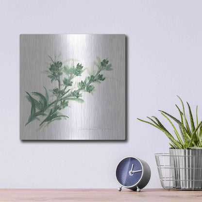Luxe Metal Art 'Lemon Thyme' by Chris Paschke, Metal Wall Art,12x12