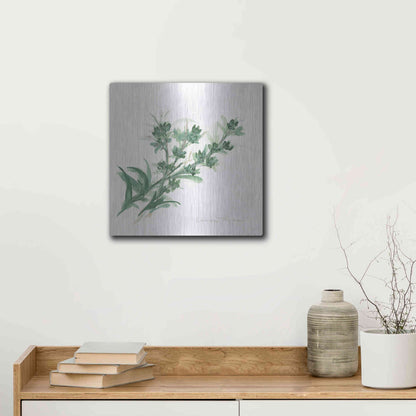 Luxe Metal Art 'Lemon Thyme' by Chris Paschke, Metal Wall Art,12x12