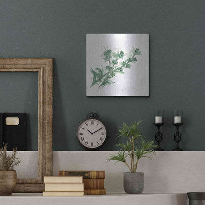 Luxe Metal Art 'Lemon Thyme' by Chris Paschke, Metal Wall Art,12x12