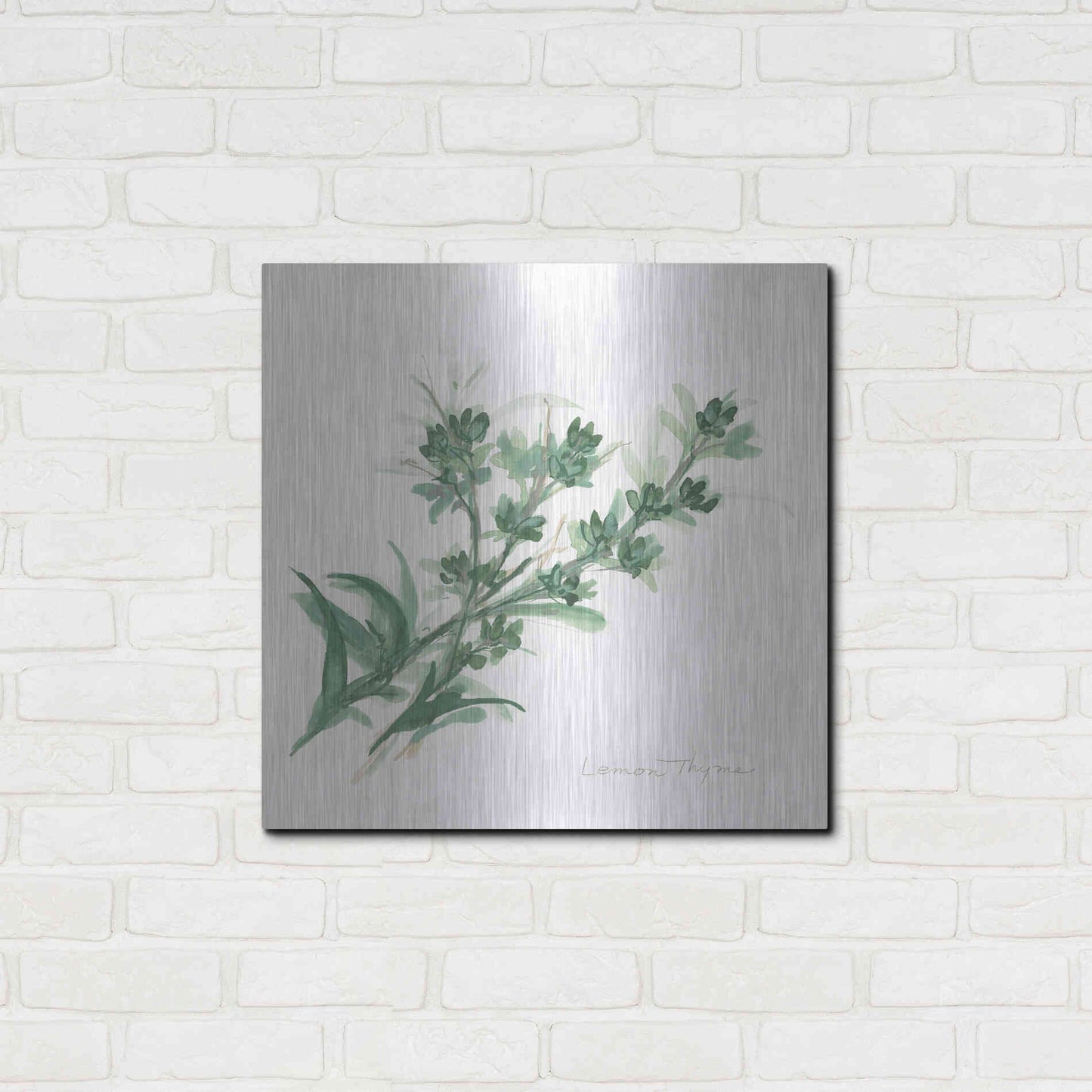 Luxe Metal Art 'Lemon Thyme' by Chris Paschke, Metal Wall Art,24x24