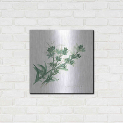 Luxe Metal Art 'Lemon Thyme' by Chris Paschke, Metal Wall Art,24x24