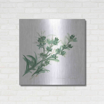 Luxe Metal Art 'Lemon Thyme' by Chris Paschke, Metal Wall Art,36x36
