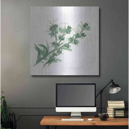 Luxe Metal Art 'Lemon Thyme' by Chris Paschke, Metal Wall Art,36x36