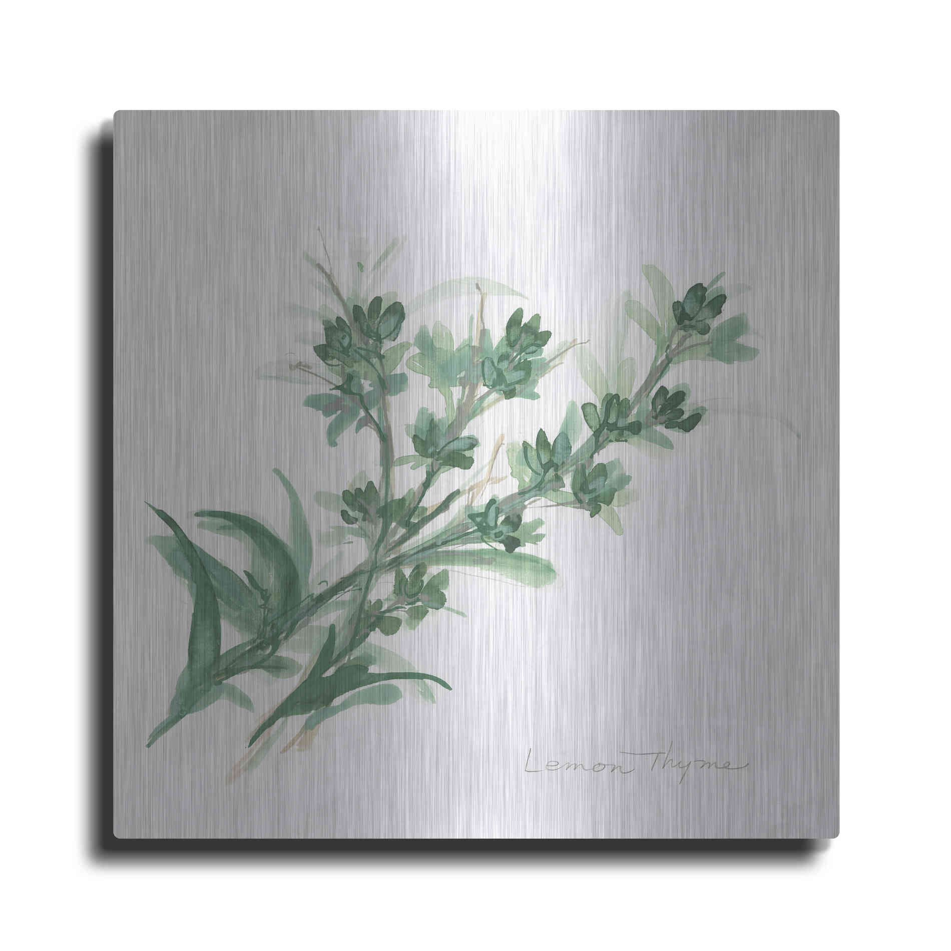 Luxe Metal Art 'Lemon Thyme' by Chris Paschke, Metal Wall Art