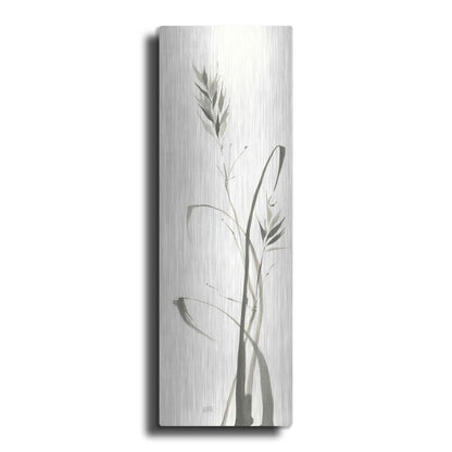 'Wild Grass II' by Chris Paschke, Metal Wall Art