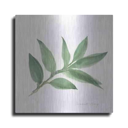 Luxe Metal Art 'Sweet Bay' by Chris Paschke, Metal Wall Art