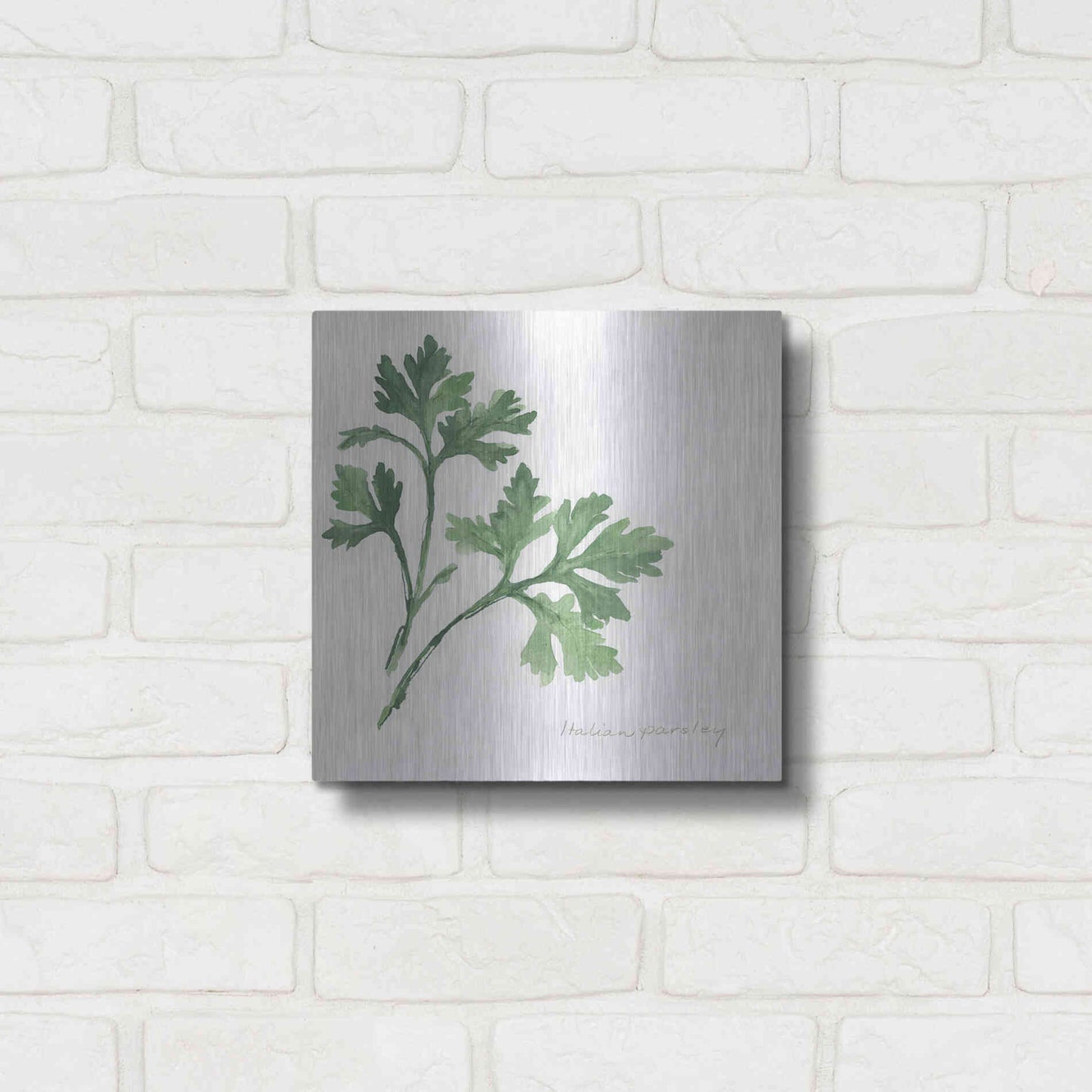 Luxe Metal Art 'Italian Parsley' by Chris Paschke, Metal Wall Art,12x12