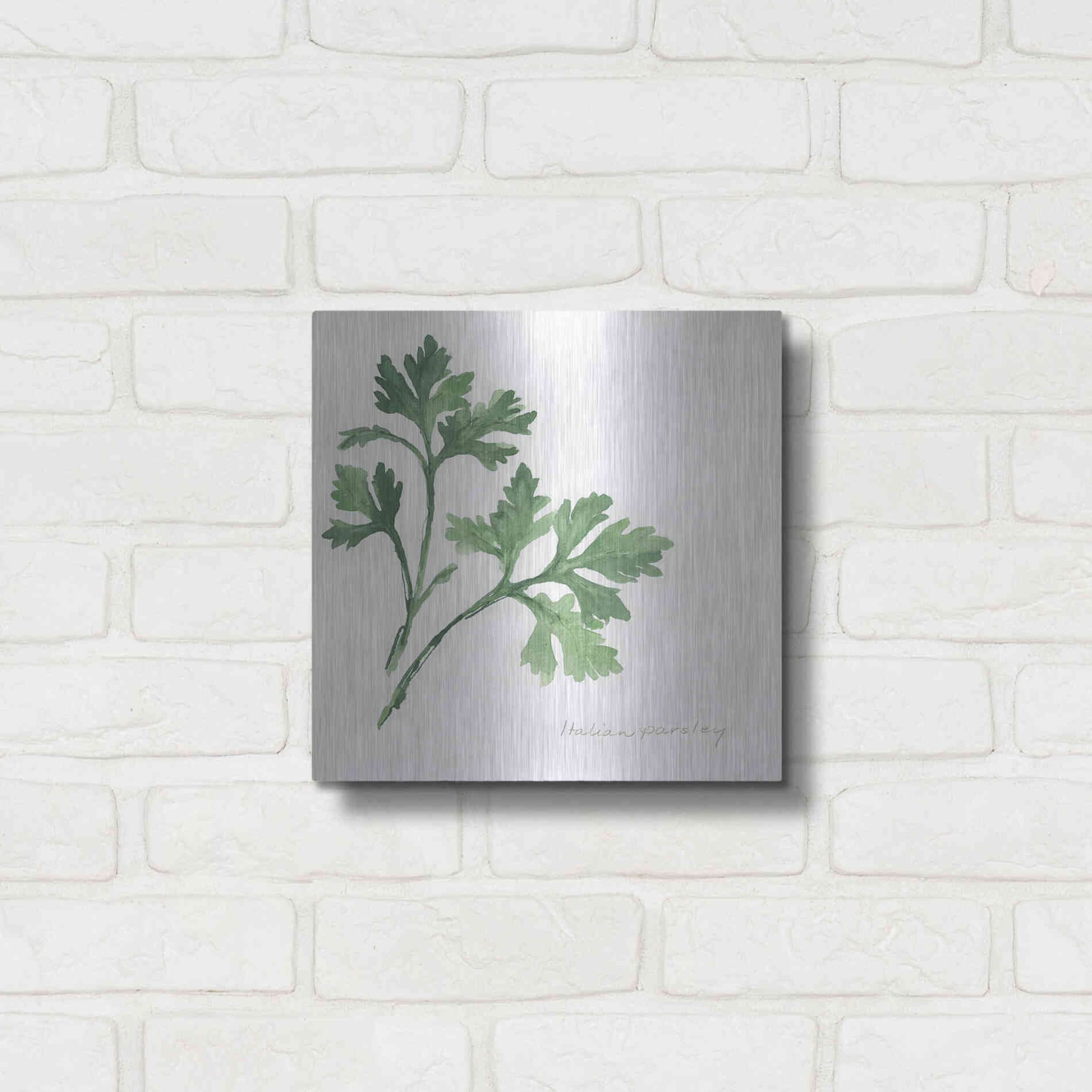 Luxe Metal Art 'Italian Parsley' by Chris Paschke, Metal Wall Art,12x12