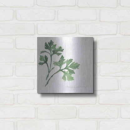 Luxe Metal Art 'Italian Parsley' by Chris Paschke, Metal Wall Art,12x12