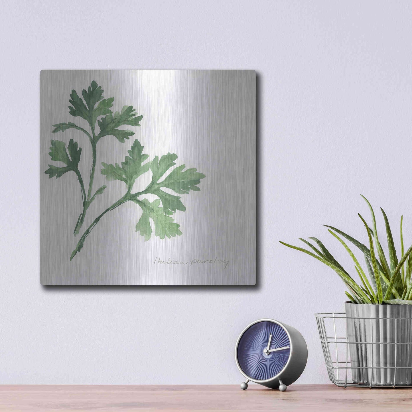 Luxe Metal Art 'Italian Parsley' by Chris Paschke, Metal Wall Art,12x12