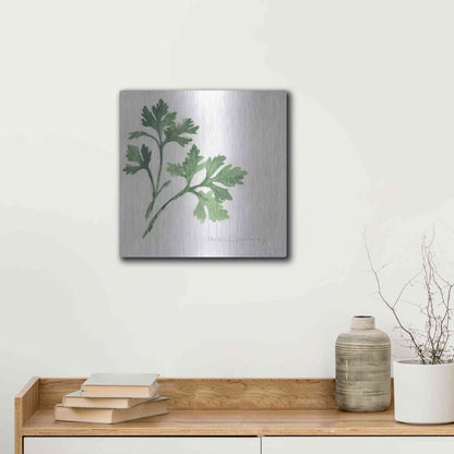Luxe Metal Art 'Italian Parsley' by Chris Paschke, Metal Wall Art,12x12