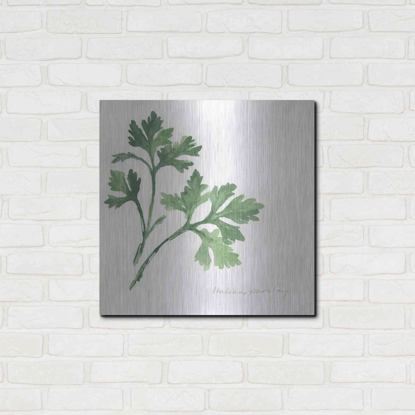 Luxe Metal Art 'Italian Parsley' by Chris Paschke, Metal Wall Art,24x24