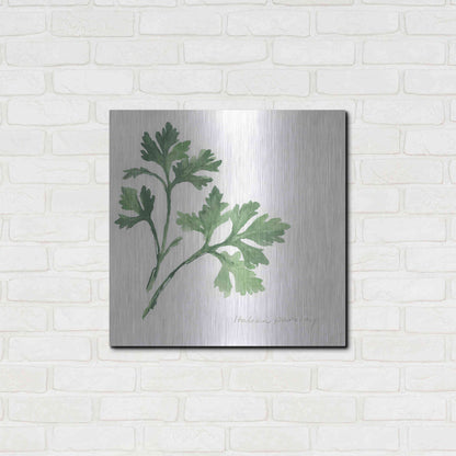 Luxe Metal Art 'Italian Parsley' by Chris Paschke, Metal Wall Art,24x24