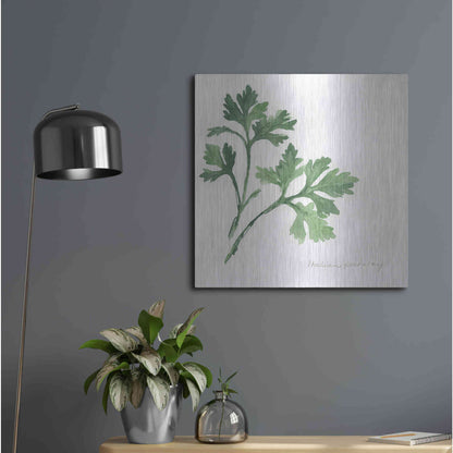 Luxe Metal Art 'Italian Parsley' by Chris Paschke, Metal Wall Art,24x24