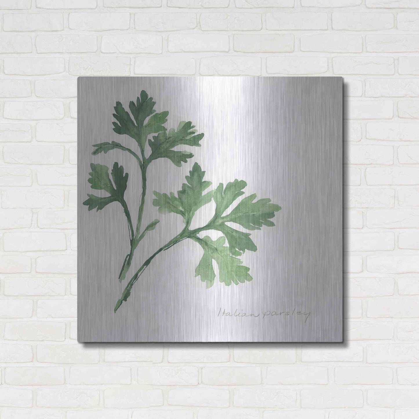 Luxe Metal Art 'Italian Parsley' by Chris Paschke, Metal Wall Art,36x36