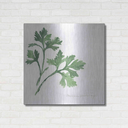 Luxe Metal Art 'Italian Parsley' by Chris Paschke, Metal Wall Art,36x36