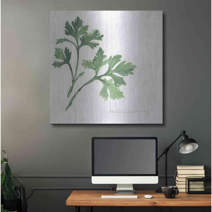 Luxe Metal Art 'Italian Parsley' by Chris Paschke, Metal Wall Art,36x36