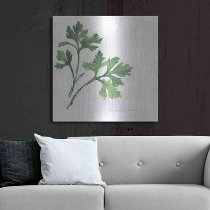 Luxe Metal Art 'Italian Parsley' by Chris Paschke, Metal Wall Art,36x36