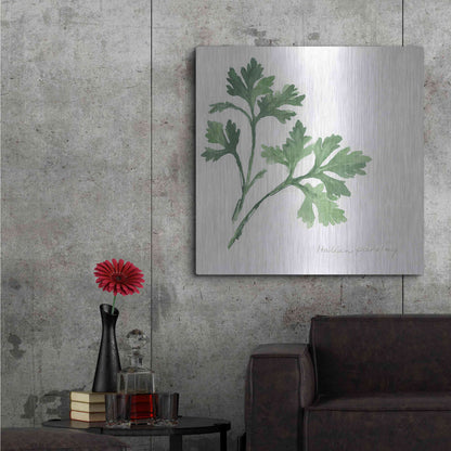Luxe Metal Art 'Italian Parsley' by Chris Paschke, Metal Wall Art,36x36