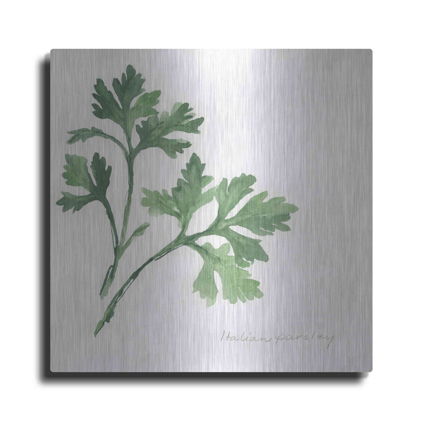Luxe Metal Art 'Italian Parsley' by Chris Paschke, Metal Wall Art