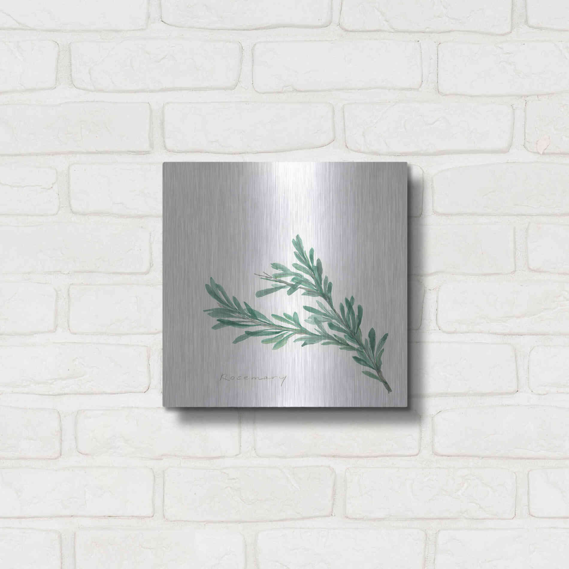 Luxe Metal Art 'Rosemary' by Chris Paschke, Metal Wall Art,12x12