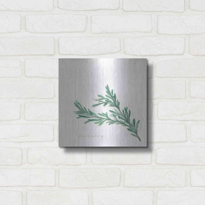 Luxe Metal Art 'Rosemary' by Chris Paschke, Metal Wall Art,12x12